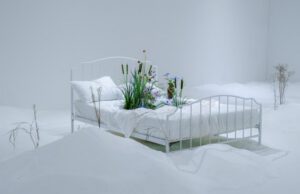 Bianca Bondi, The Antechamber (Tundra swan), 2020, The Busae Biennale, Cur. Jacob Fabricius, Busan, KR.