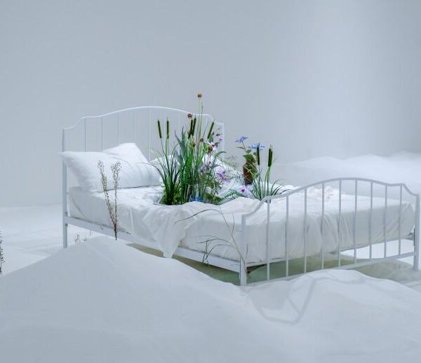 Bianca Bondi, The Antechamber (Tundra swan), 2020, The Busae Biennale, Cur. Jacob Fabricius, Busan, KR.