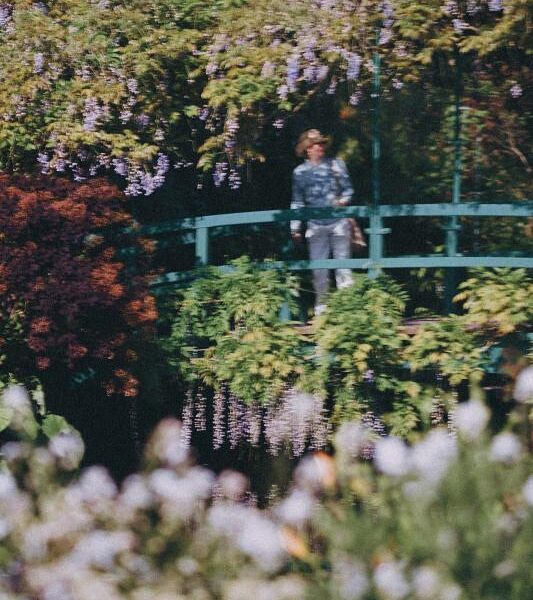 Le Pont Japonais, Giverny, 2023