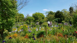Jardins de campagne normands