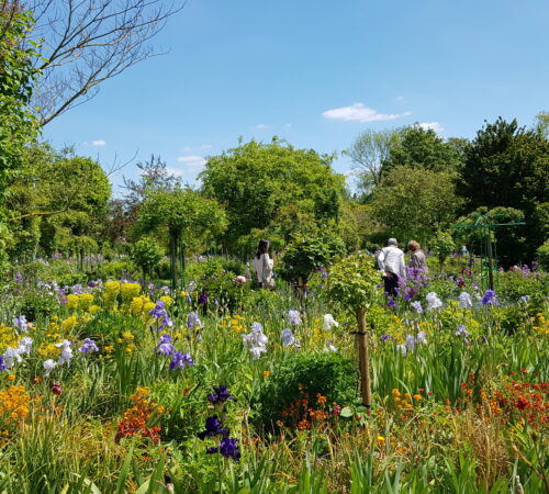 Normandy country gardens