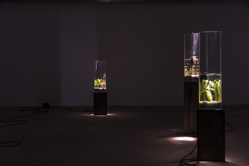 Clément Davout & Léo Fourdrinier La vague irrésolue, Le Confort Moderne © Adagp, Paris, 2018