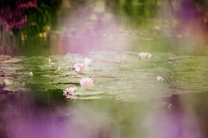 Parcours de Claude Monet, en couple