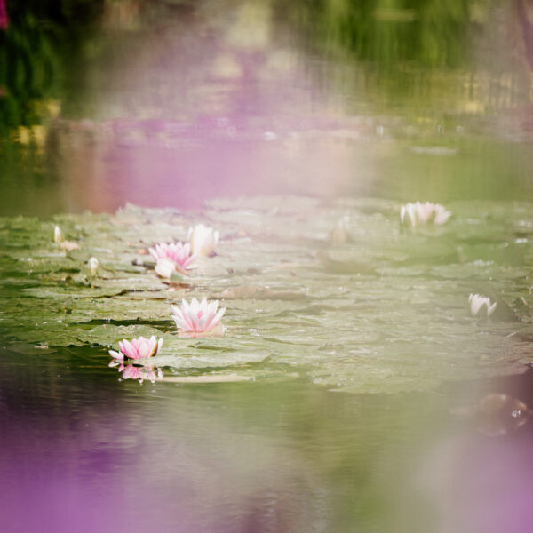 Parcours de Claude Monet, en couple