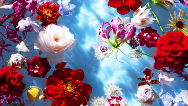 Le festival révèle six affiches aux couleurs d’Un possible jardin